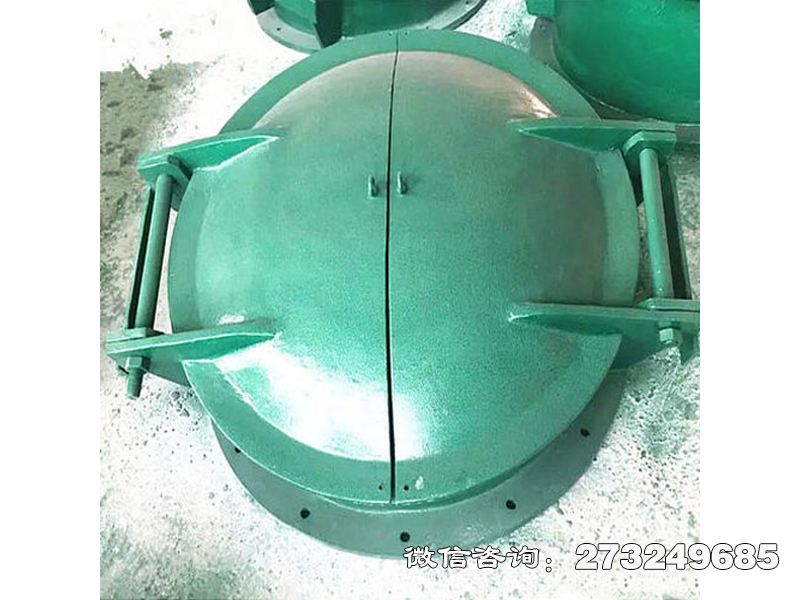 雙開(kāi)式玻璃鋼拍門(mén)