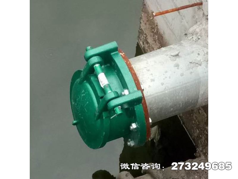 污水管道玻璃鋼拍門(mén)