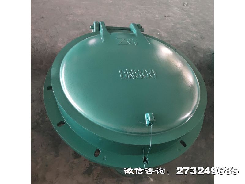 通遼污水管玻璃鋼拍門