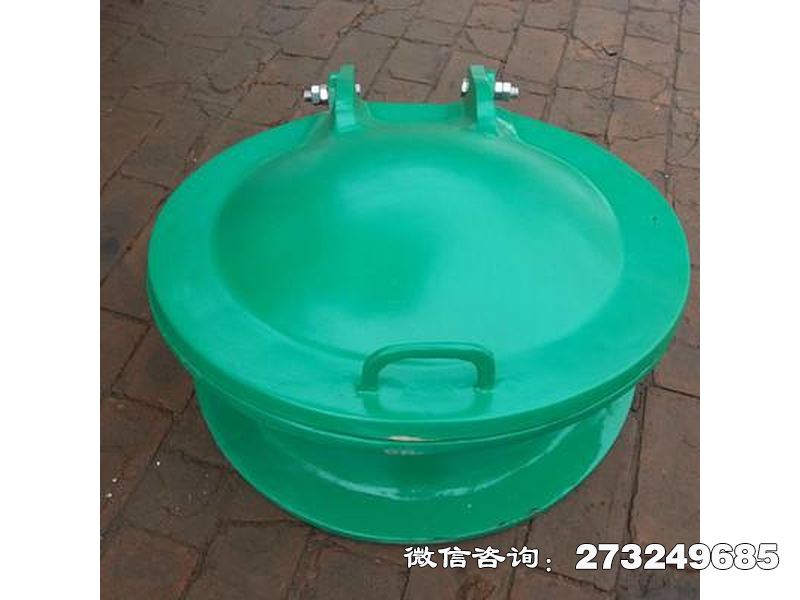 玻璃鋼污水拍門(mén)