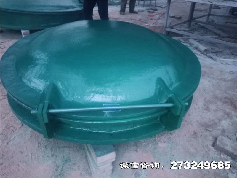 耐腐蝕管道拍門(mén)