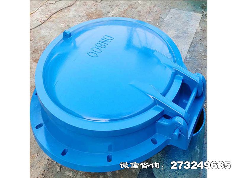 單向水流控制拍門(mén)