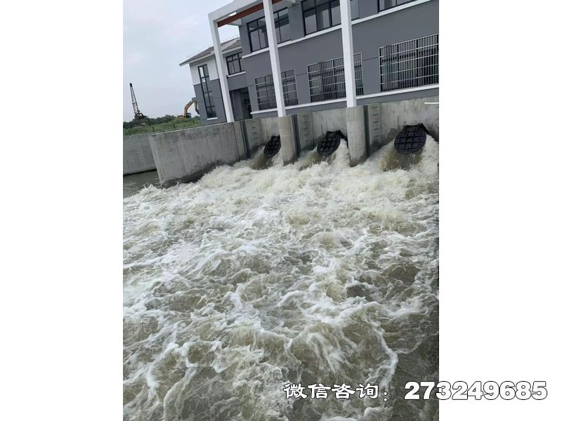 藁城防潮堤潮門拍門