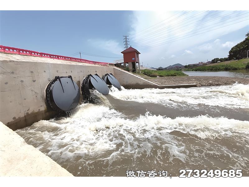 藁城蓄滯洪區(qū)潮門拍門