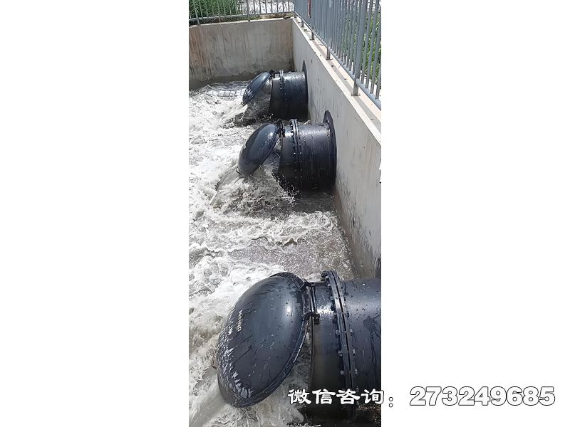 藁城污水處理廠潮門拍門