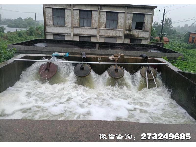 江陵縣行洪區(qū)退水口潮門拍門
