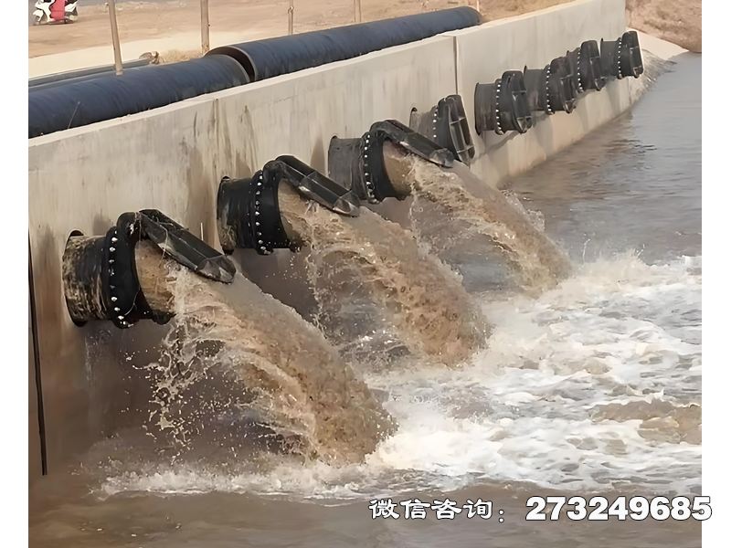 江陵縣蓄滯洪區(qū)分洪閘潮門拍門