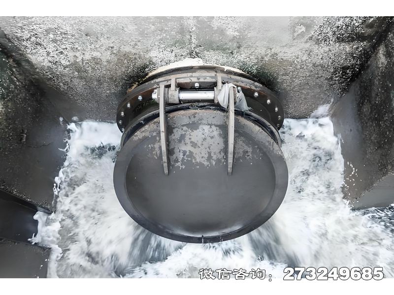 合川河道排水潮門(mén)拍門(mén)