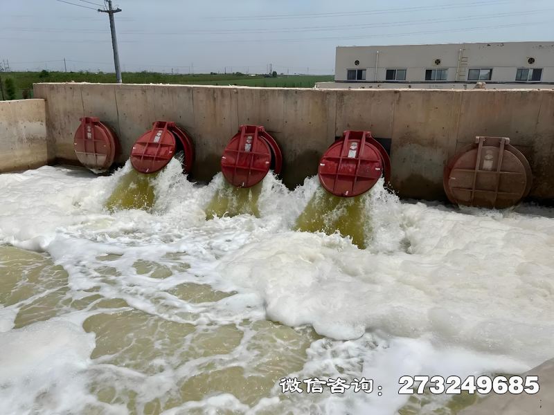 鄂州河口整治工程潮門拍門
