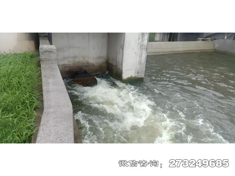 鄂州海塘防潮閘潮門拍門