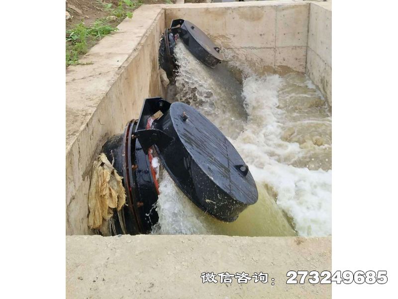 鄂州水庫(kù)潮門拍門