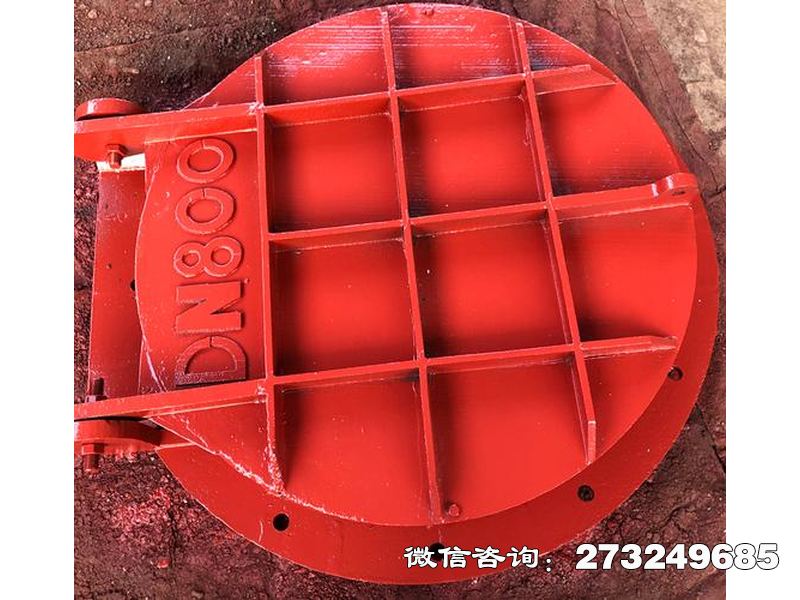 通遼止回鋼制管道拍門