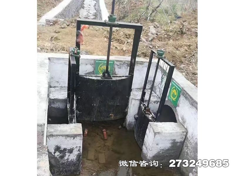 分水灌渠機(jī)閘一體閘門