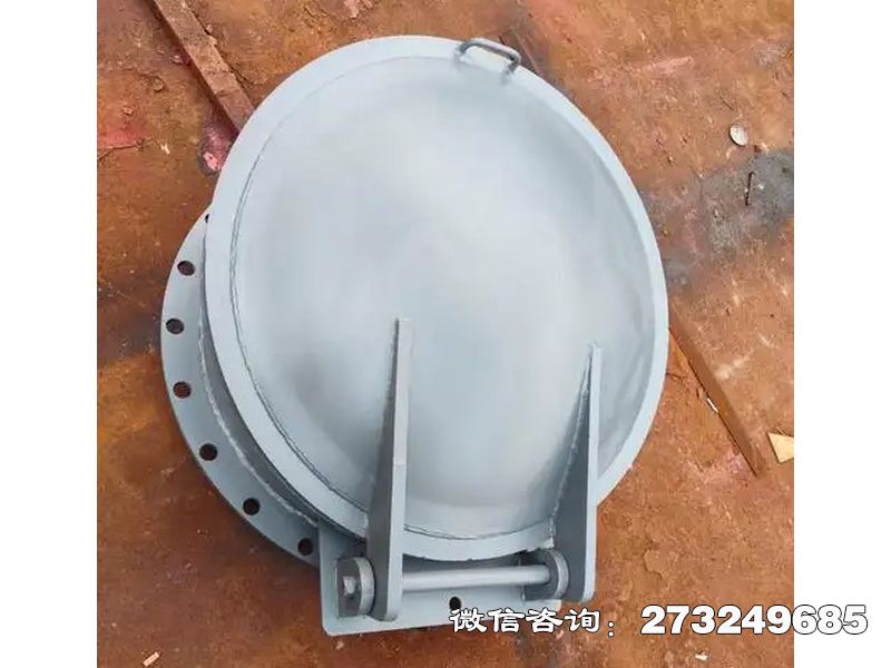 元氏鑄鐵圓型防逆流拍門(mén)