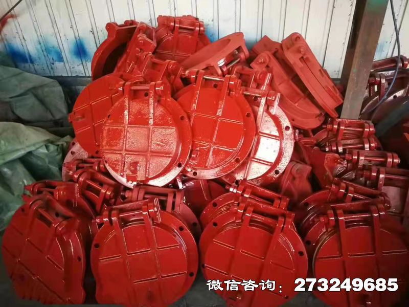海城鑄鐵圓形泵站拍門