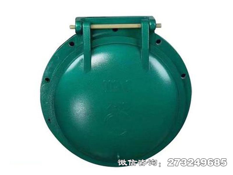 鄂州鑄鐵圓型潮汐防倒灌拍門