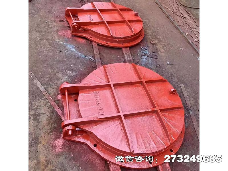 昭蘇縣泵站鑄鐵圓形止水門