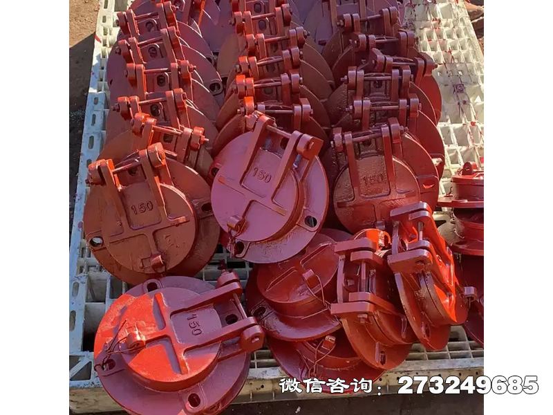 昭蘇縣方形泵站鑄鐵擋水閘
